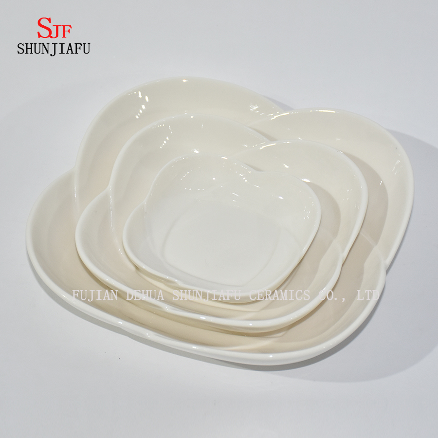 Diferentes formas. Servicio de vajilla de porcelana blanca Plato de salsa Plato