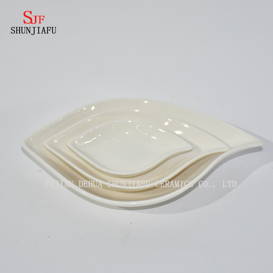 Diferentes formas. Servicio de vajilla de porcelana blanca Plato de salsa Plato