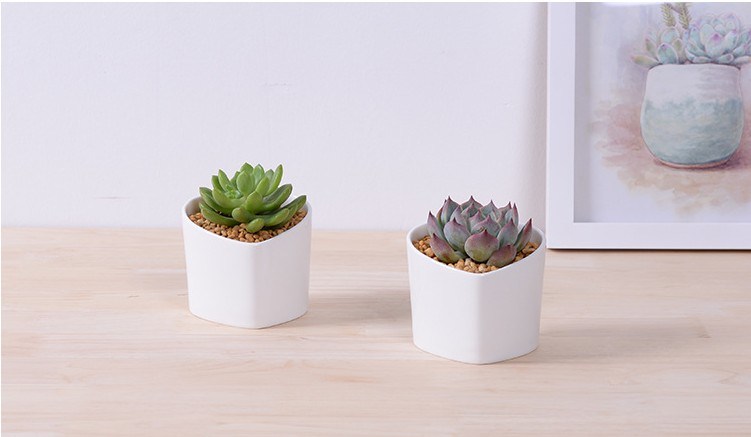 Caracter&iacute;sticas decorativas Forma de melocot&oacute;n Maceta blanca en forma de coraz&oacute;n