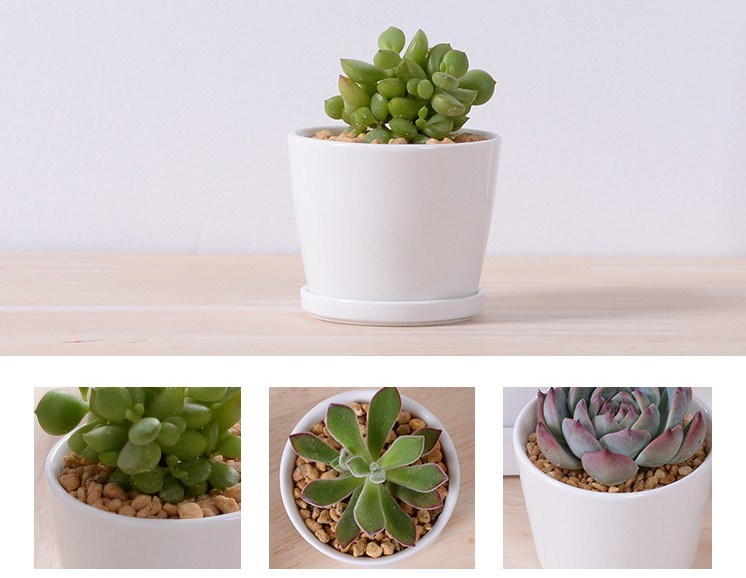 Escritorio de ocio Peque&ntilde;o florero de cer&aacute;mica redondo peque&ntilde;o