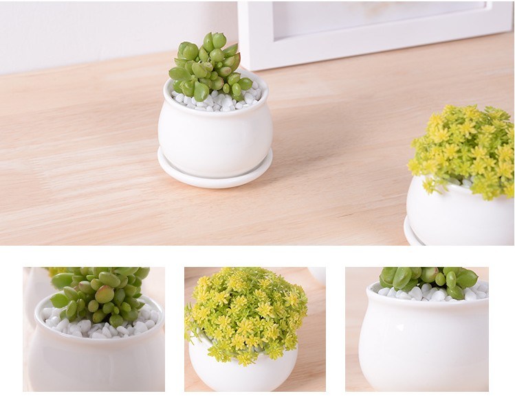 Maceta peque&ntilde;a blanca directa de f&aacute;brica con diferentes tama&ntilde;os