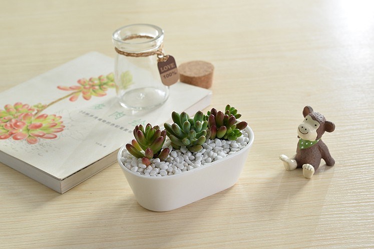 Mesa de centro Tipo de escritorio Maceta de cer&aacute;mica Ganso blanco