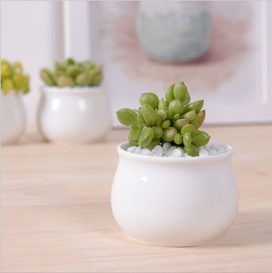Decoración de escritorio creativa Mini maceta de cerámica redonda blanca