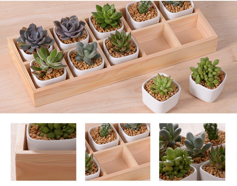 Escritorio de ocio con 5 macetas de cer&aacute;mica con base de celos&iacute;a