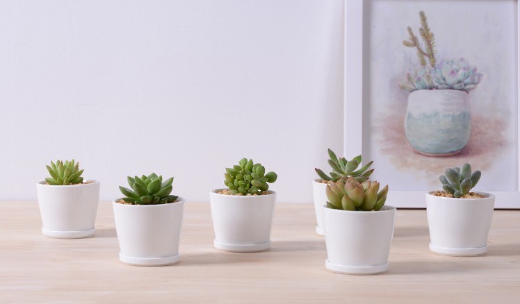 Escritorio de ocio Peque&ntilde;o florero de cer&aacute;mica redondo peque&ntilde;o