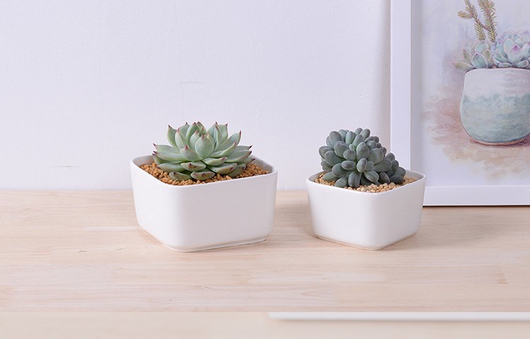 Mesa Mesa De Centro Circular Maceta De Cer&aacute;mica Blanca Grande