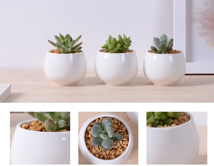 Maceta de cer&aacute;mica blanca cuadrada creativa en miniatura