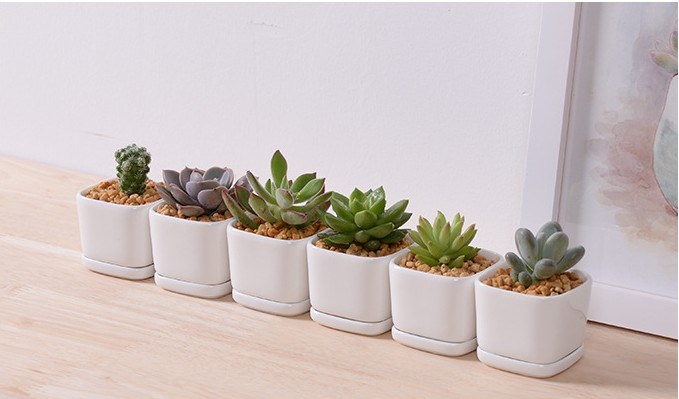 Personalidad Moda Cer&aacute;mica Blanco Porcelana Base Maceta