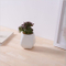 Cerámica maceta blanca Mini artículos de decoración de escritorio