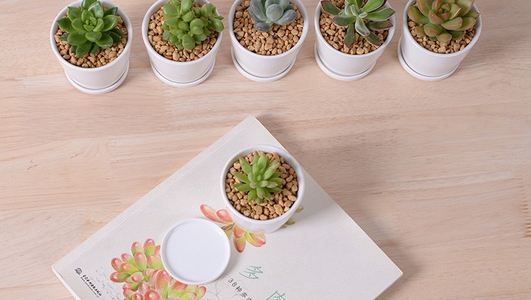 Escritorio de ocio Peque&ntilde;o florero de cer&aacute;mica redondo peque&ntilde;o