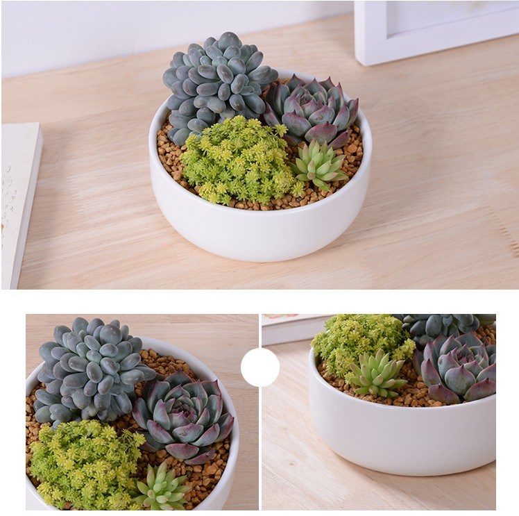 Maceta combinada de tri&aacute;ngulo de cer&aacute;mica de escritorio