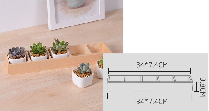 5 Caja de celos&iacute;a con maceta de cer&aacute;mica blanca