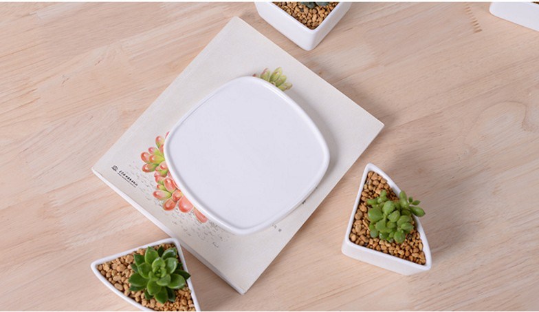 Maceta de cer&aacute;mica blanca con base triangular Platos fr&iacute;os surtidos