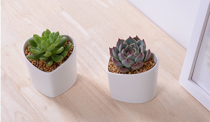 Caracter&iacute;sticas decorativas Forma de melocot&oacute;n Maceta blanca en forma de coraz&oacute;n