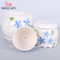 Maceta de cerámica fresca, tranquila y elegante