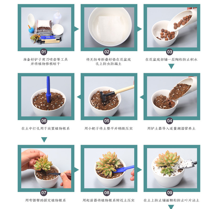 Decoraci&oacute;n de escritorio creativa Mini maceta de cer&aacute;mica blanca