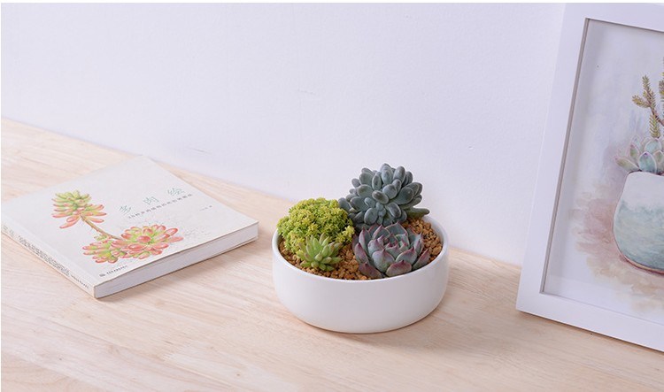 Nombre de maceta de cer&aacute;mica redonda peque&ntilde;a: maceta de cer&aacute;mica cuadrada