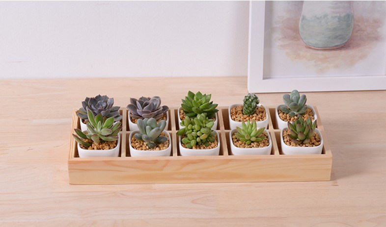 Escritorio de ocio con 5 macetas de cer&aacute;mica con base de celos&iacute;a