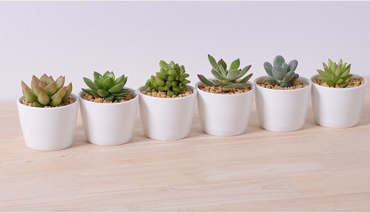 Caracter&iacute;sticas decorativas Forma de melocot&oacute;n Maceta blanca en forma de coraz&oacute;n