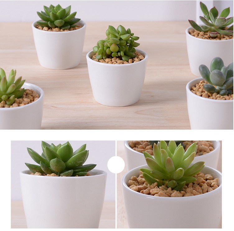 Mini macetas decorativas de cer&aacute;mica blanca redonda