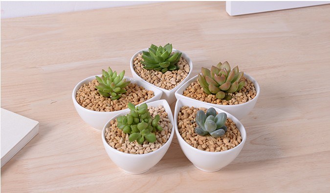 Adorno Caracter&iacute;stica Personalidad Escritorio Flores blancas peque&ntilde;as Maceta