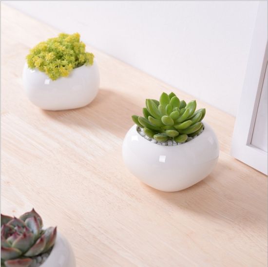 Mini escritorio Mini maceta de cerámica