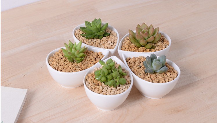 Adorno Caracter&iacute;stica Personalidad Escritorio Flores blancas peque&ntilde;as Maceta