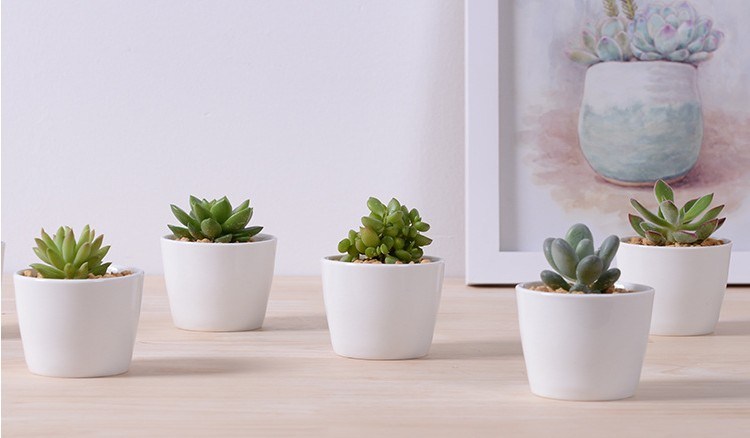 Mini macetas decorativas de cer&aacute;mica blanca redonda