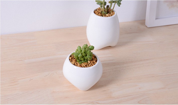 Maceta blanca en forma de diente peque&ntilde;o de marfil de cer&aacute;mica