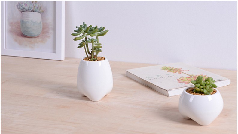 Maceta blanca en forma de diente peque&ntilde;o de marfil de cer&aacute;mica