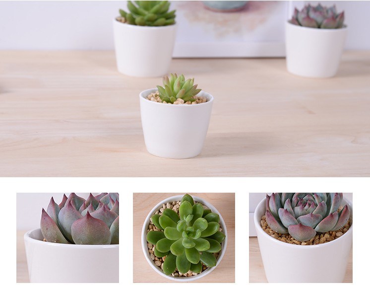 Gran maceta peque&ntilde;a de cer&aacute;mica redonda peque&ntilde;a