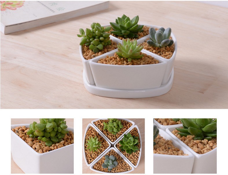 Maceta de cer&aacute;mica blanca con base triangular Platos fr&iacute;os surtidos