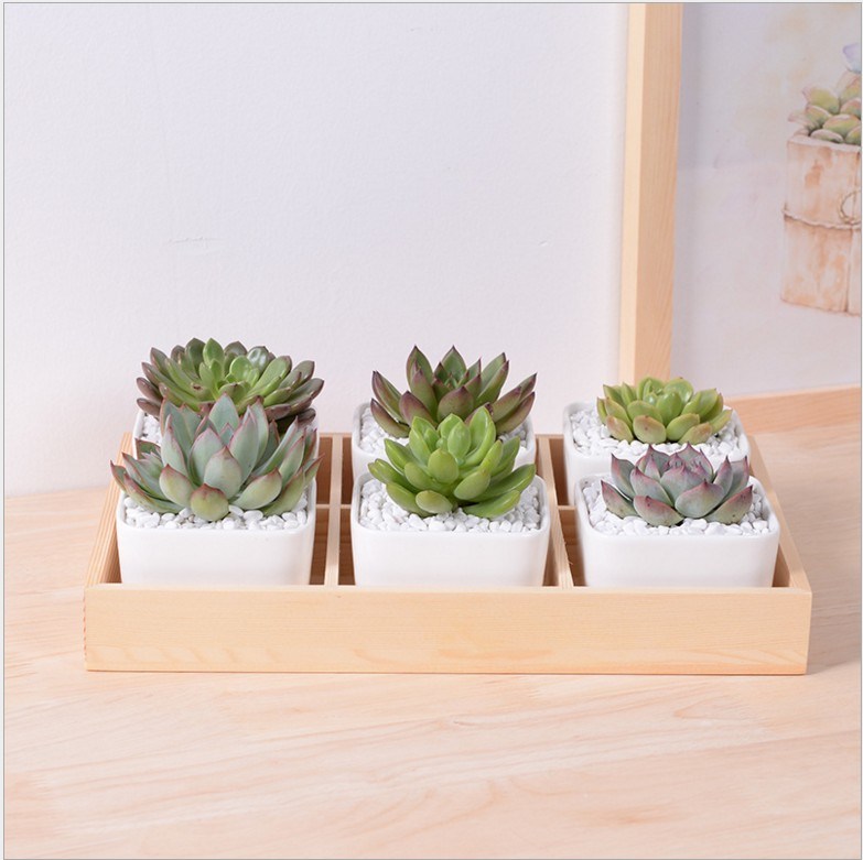 Desktop Cafe 6 Base de madera Maceta de cer&aacute;mica Enrejado