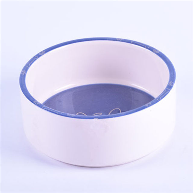 huesos de impresión de fondo de cuenco azul Imágenes Alimentador de mascotas de cerámica Cuenco de cerámica para perros