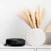 Florero de cerámica plano redondo moderno, maceta estriada plisada, mate, negro, blanco, decoración nórdica para el hogar, venta al por mayor, florero de mesa de porcelana acanalada creativa